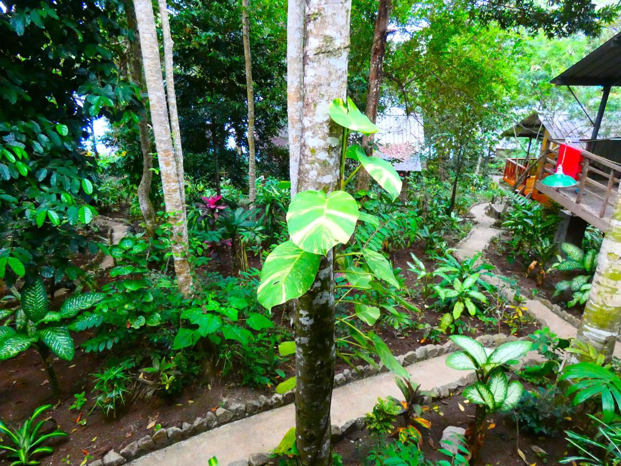 Santi Garden Bungalows Iboih ภายนอก รูปภาพ