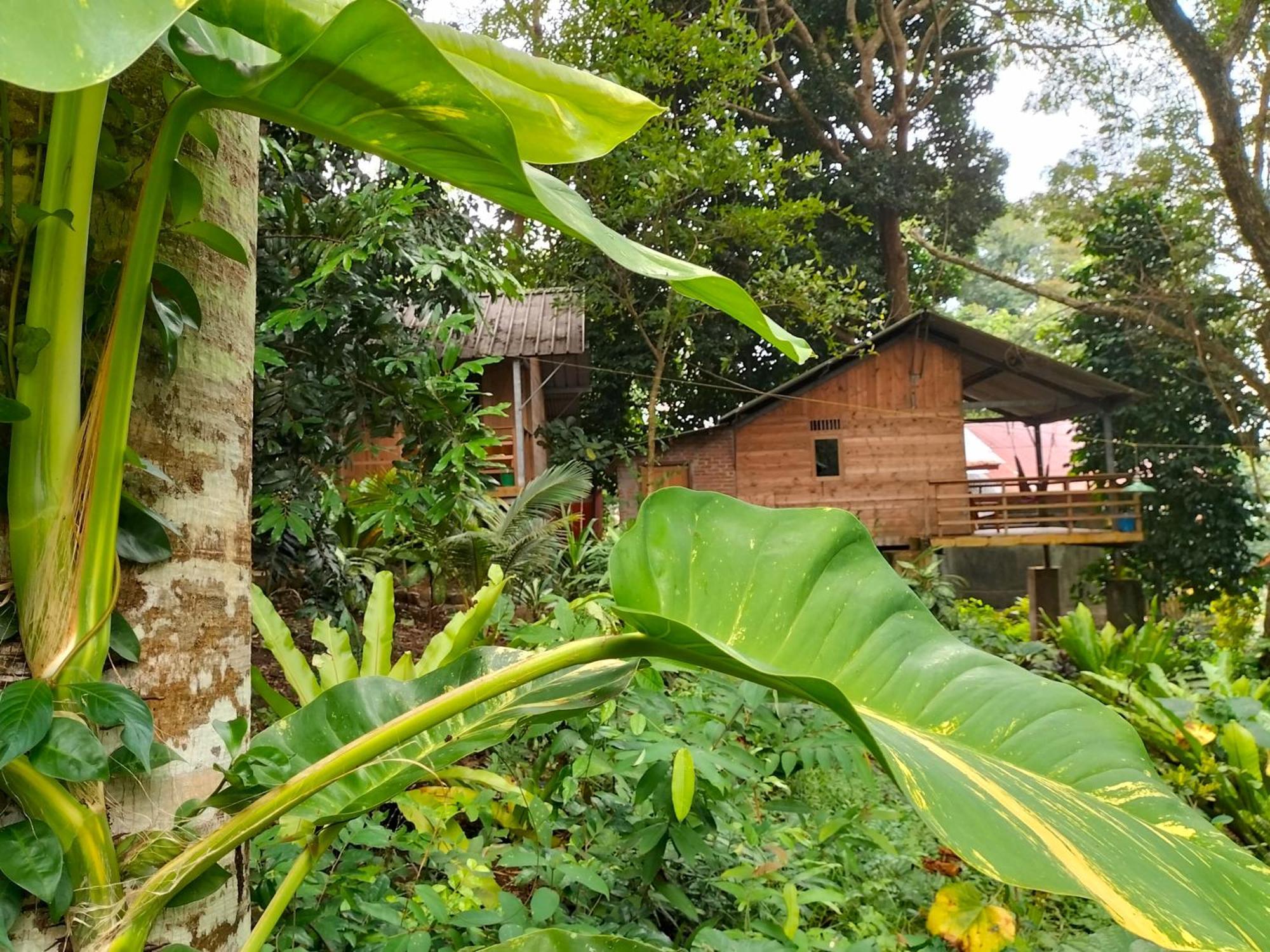 Santi Garden Bungalows Iboih ภายนอก รูปภาพ
