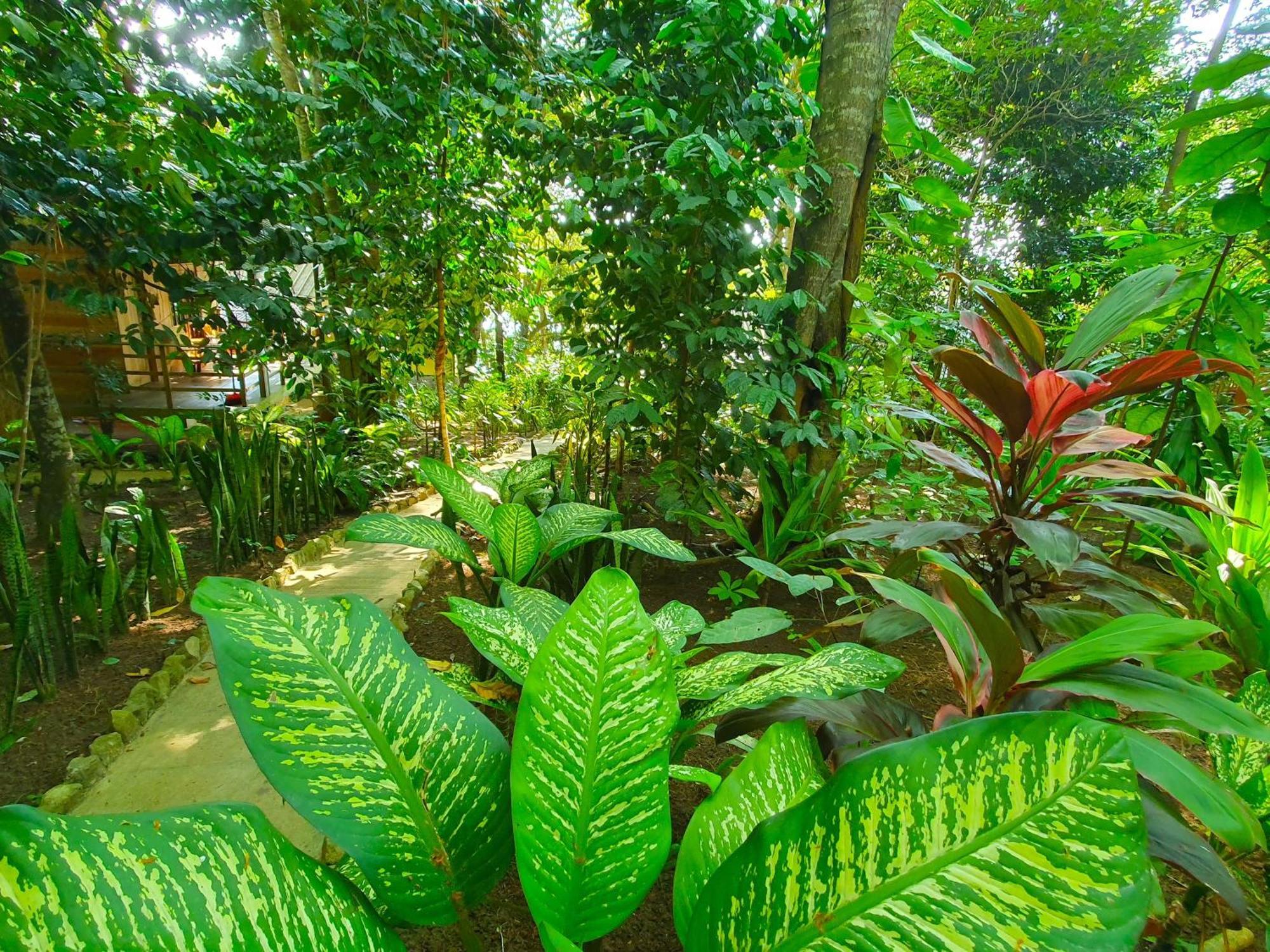 Santi Garden Bungalows Iboih ภายนอก รูปภาพ