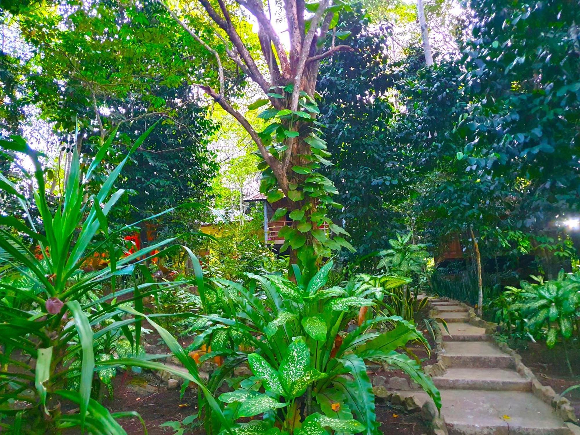Santi Garden Bungalows Iboih ภายนอก รูปภาพ